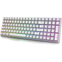 ROYAL KLUDGE RK100 RGB Wireless Mechanical Keyboard Blue Switch